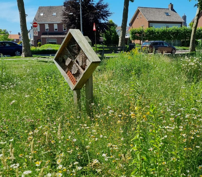 Jonkerrs-weert-24-uitsnede Jonkerrs-weert-24-uitsnede